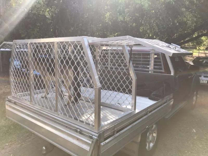 dog cage for truck