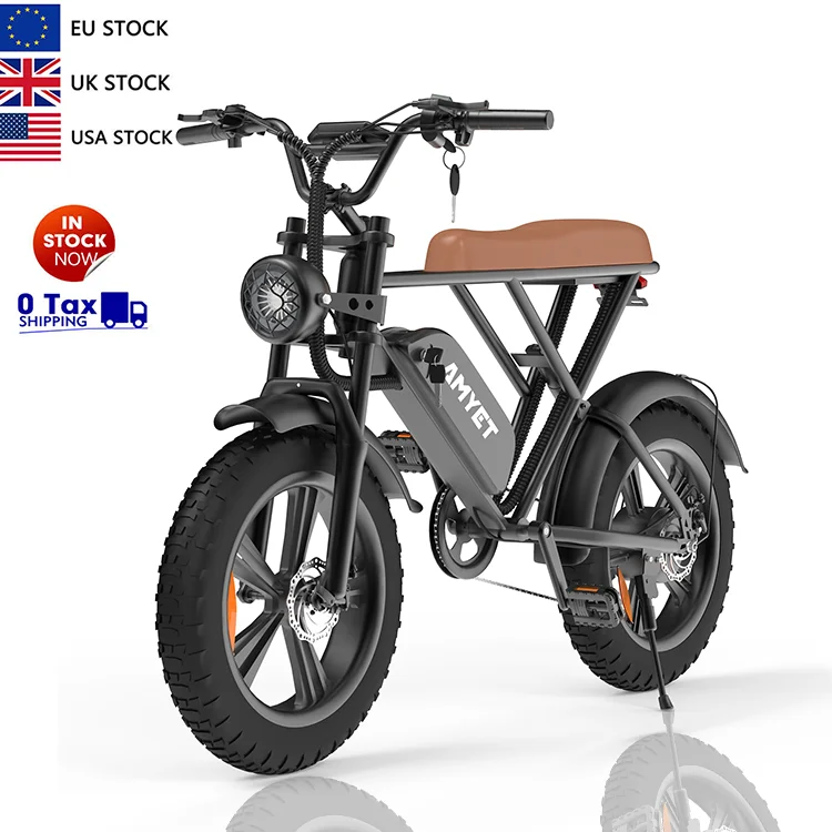 

Hot selling electric city bike 48v 15ah electric bike 1000w high power with double seat motorcycle electric