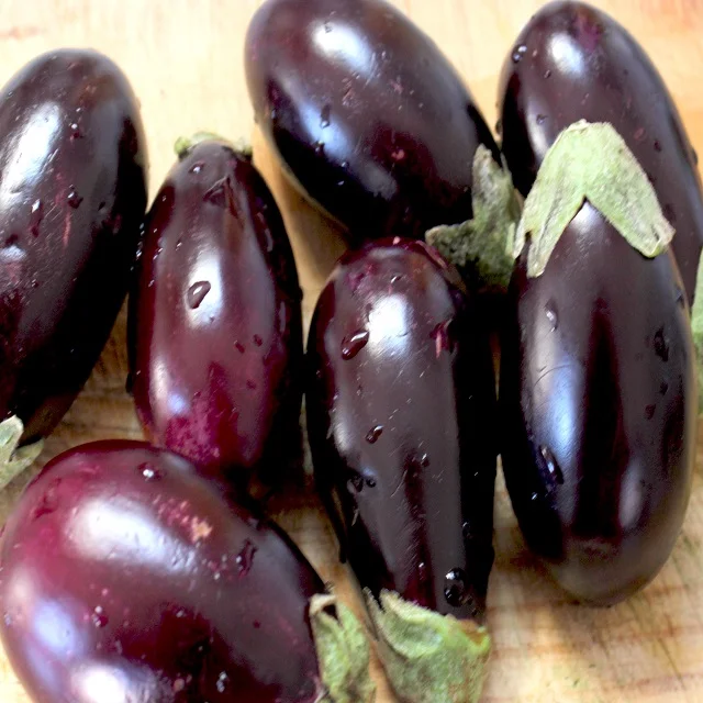 
Fresh Vegetable Brinjal Eggplant Aubergine for export 