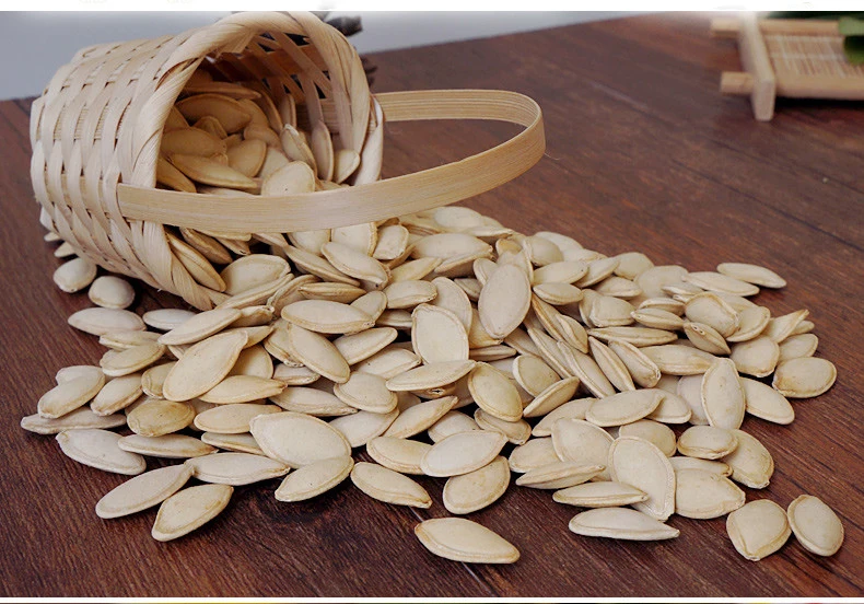 
Cheap price white pumpkin seeds with AA grade hot selling 