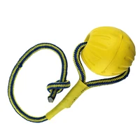 

Multicolor waterproof durable pet dog EVA foam ball toys with rope