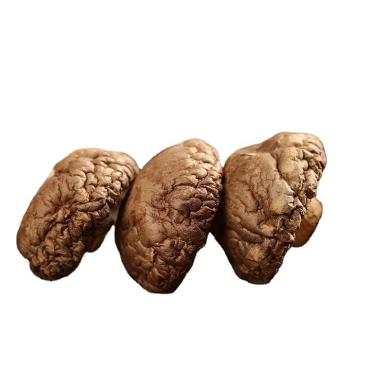 
Healthy Dehydrated 100% Natural Dried Shitake Mushroom Spawn 