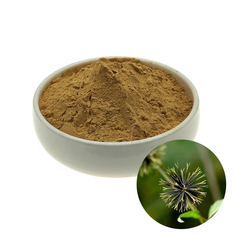 

Natural Bidens Pilosa Extract Powder 10:1 Sticktight Extract Bidens pilosa Extract