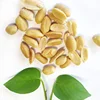 Savory and Crispy Roasted Peanuts for Sale