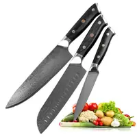 

3PCS Super Quality VG10 Japanese Damascus Steel Kitchen Chef Knife Set
