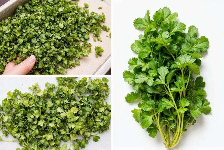 Parsley ice cubes