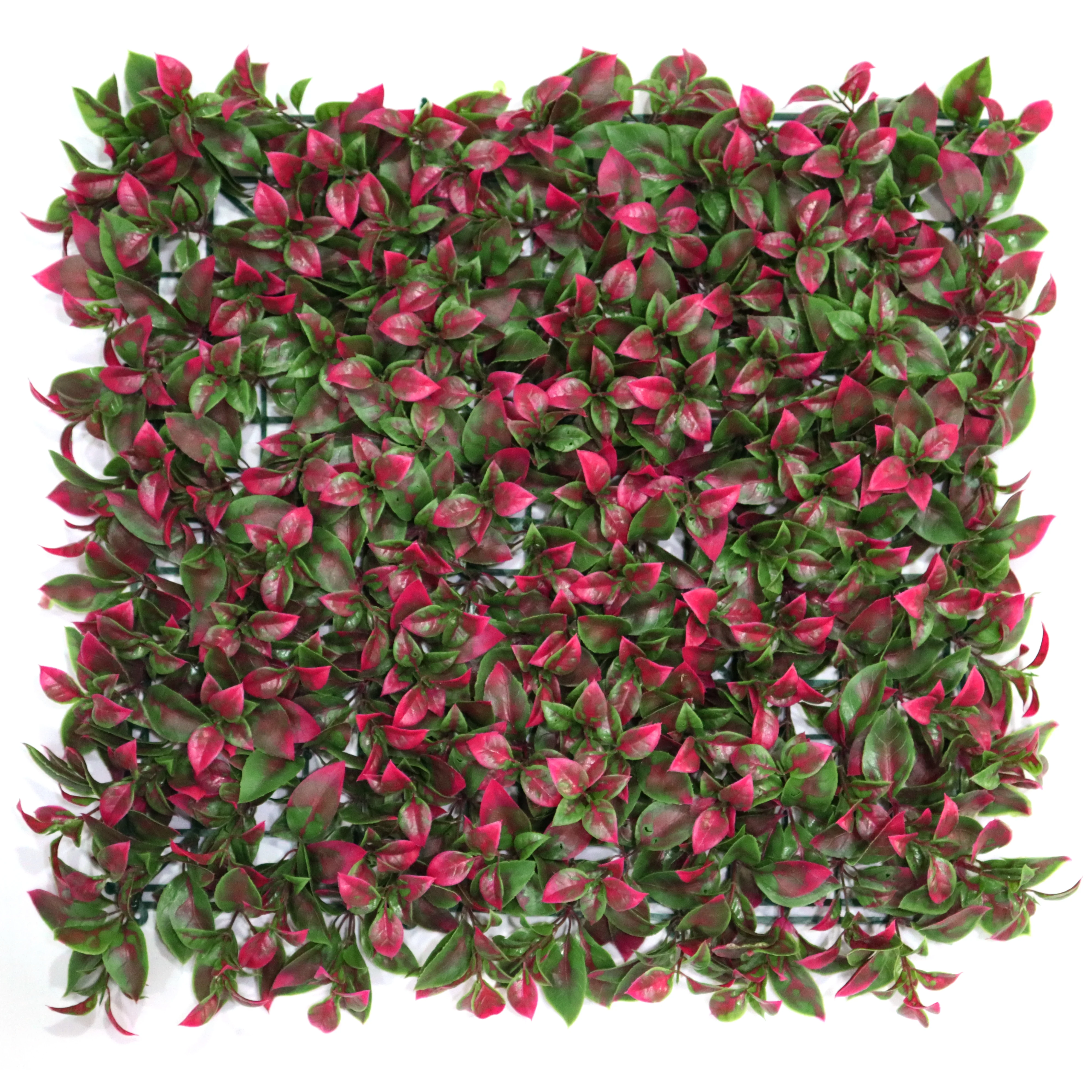 

Colorful UV Resistant Artificial Boxwood Grass Panel Plant Wall for Garden Decoration in Stock, Green and customized