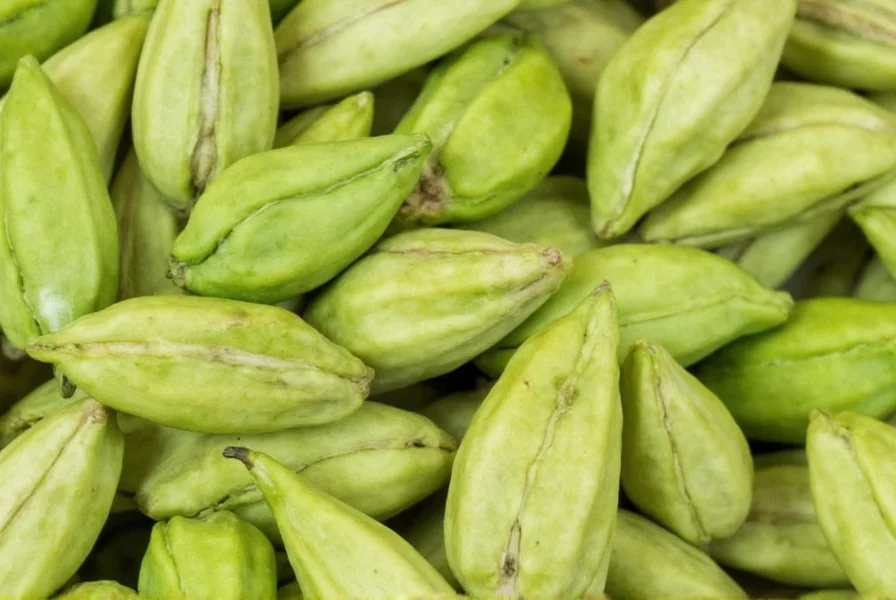 Close-up photograph of green cardamom pods showing their triangular shape and light green color, highlighting the spice's natural appearance before processing