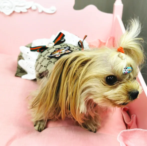 

3Takins Summer New Pets Clothing G Font Harness Style Cat Dog Popular Skirt Vest Pet Supplies Wholesale