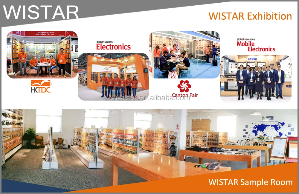 6-WISTAR Exhibition.jpg