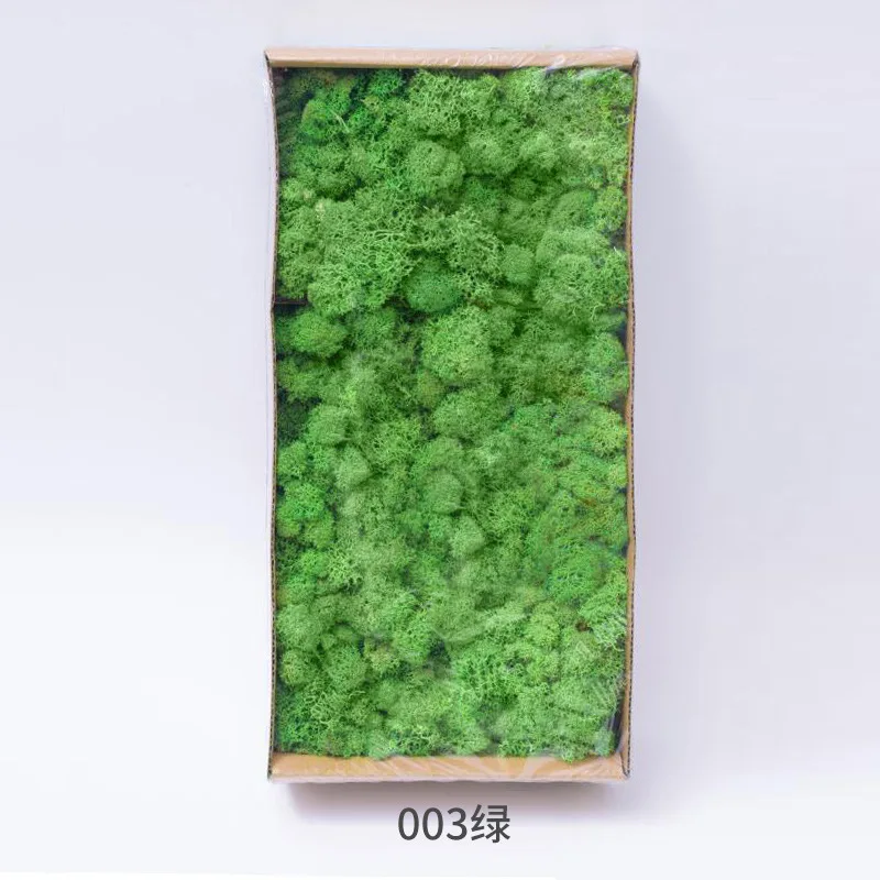 

QSLHFH-1158 Wholesale Natural Real Preserved Reindeer Moss Stabilized Moss, Various colour