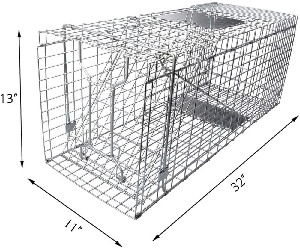 

Amazon Hot Sale Live Cat Rabbit Cage Traps Cage for Squirrels Foxes Raccoons Pigs Dogs China Suppliers, Silver