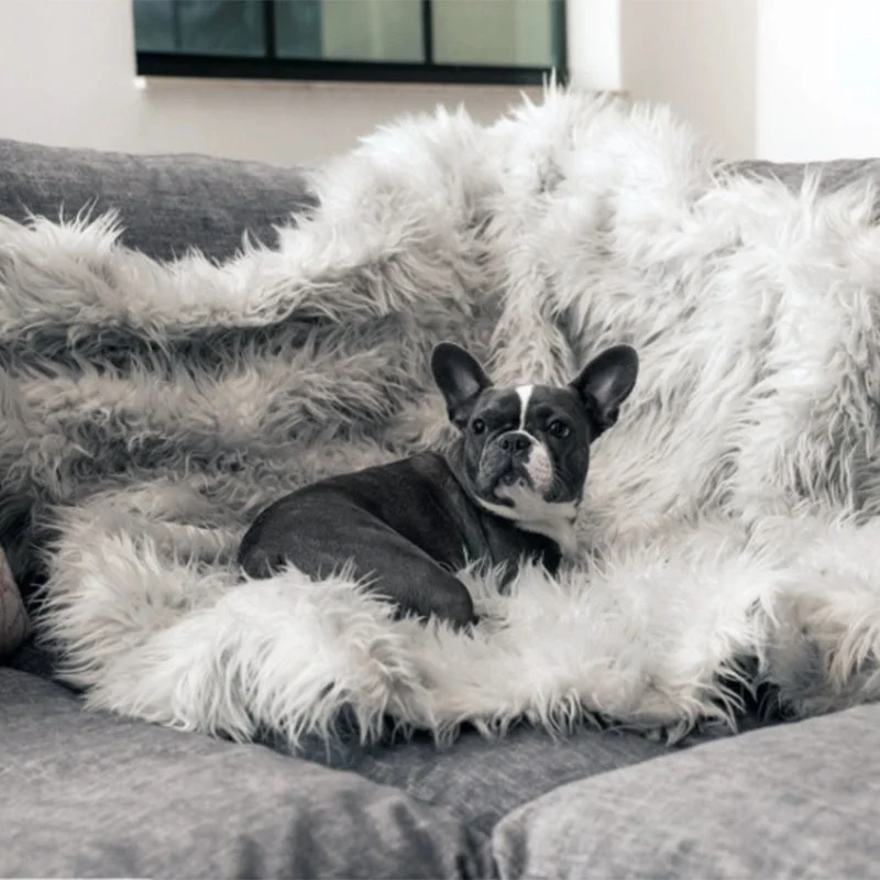

Amazon Shopify Pet Cushion Soft throw blanket Waterproof Throw Blanket For Living Room, Colorful