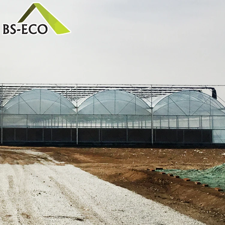 Multi Span Greenhouse 1