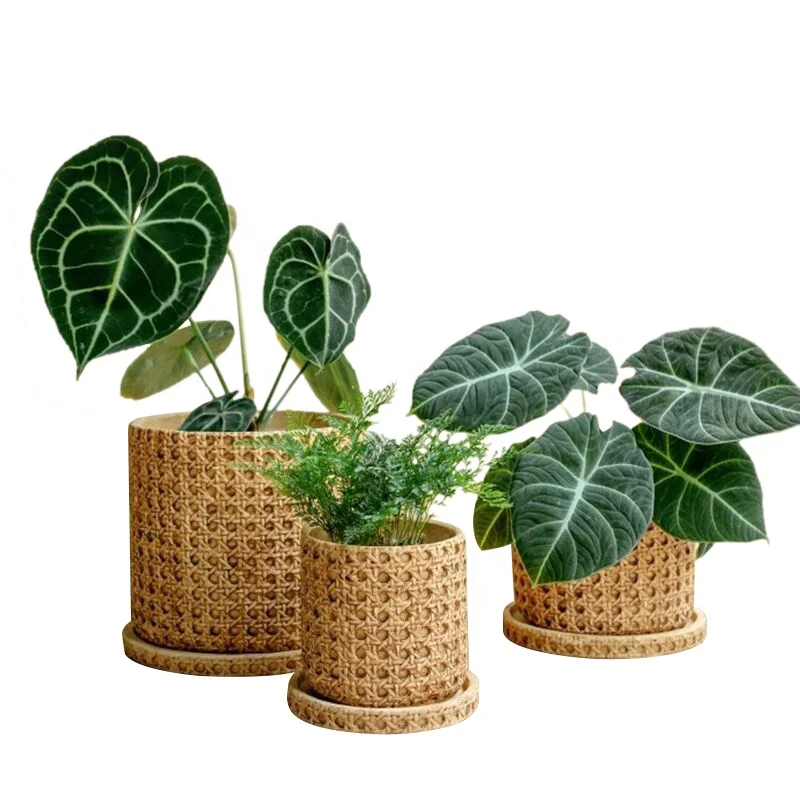 

Vintage style bamboo weaving design cement flower pots with tray for home garden decor