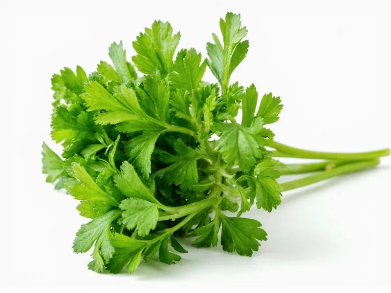 Can Parsley Substitute for Cilantro? Flavor Guide & Tips