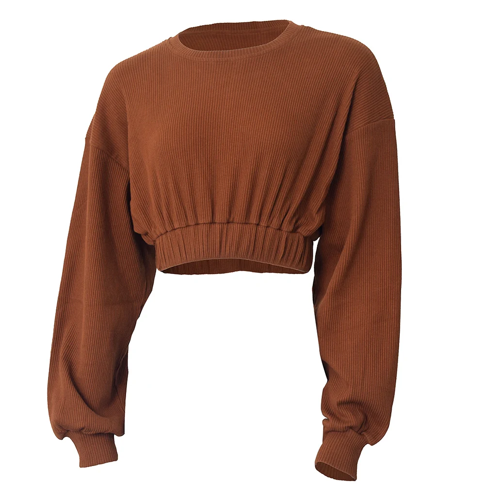 

Sweaters Long Sleeve Crop Top Women Blank Sweatshirts, Gold/brown/white/sky blue/black/purple/multicolor