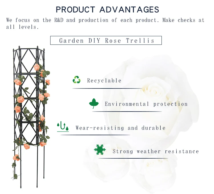 Rose Trellis (3).jpg