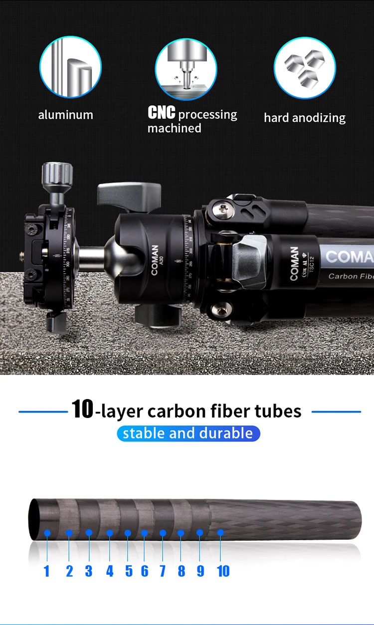 TSC12A30_08.jpg
