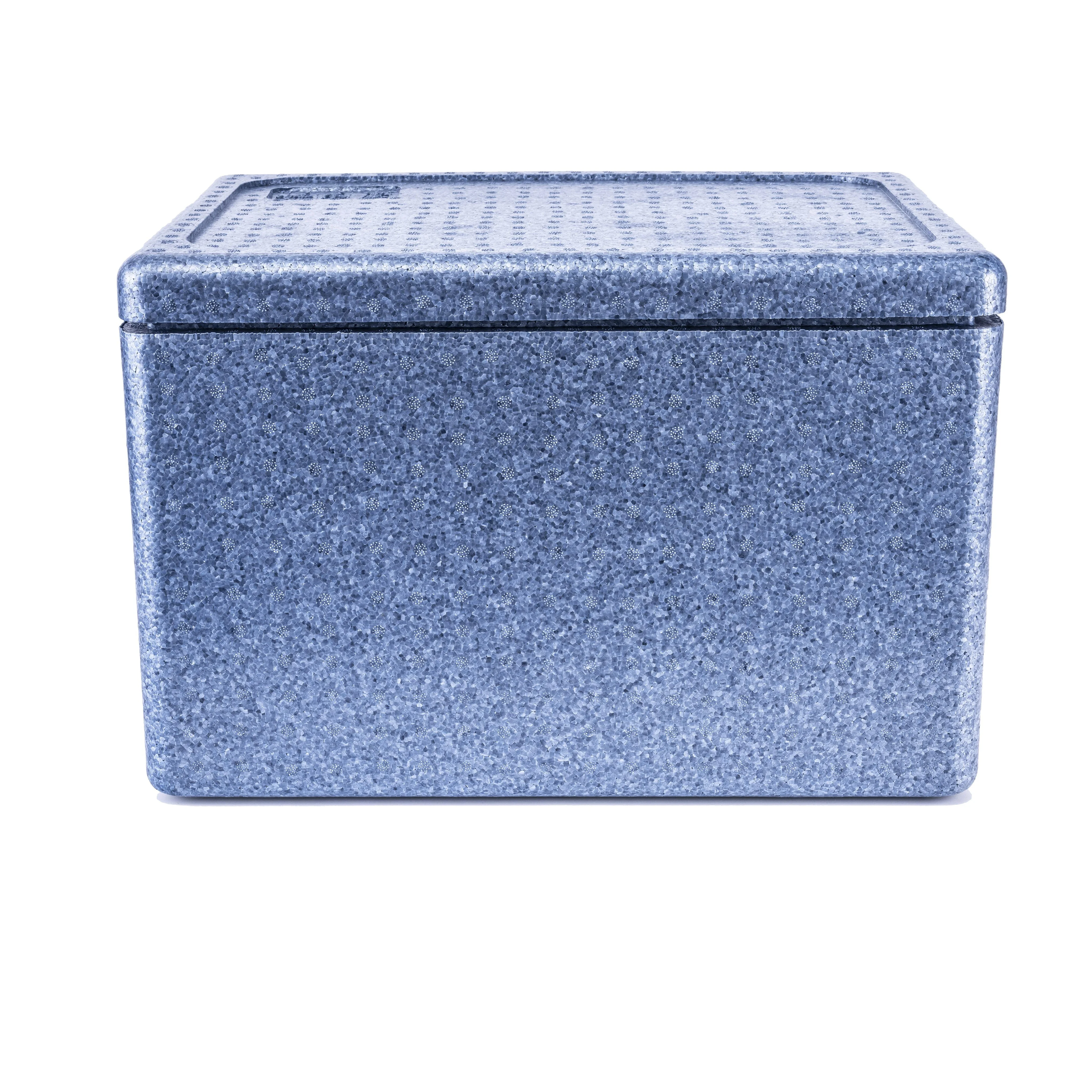 

Custom Available EPP Foam Cooler Box Portable Insulated Cooler Box for Food Delivery, As per clients request