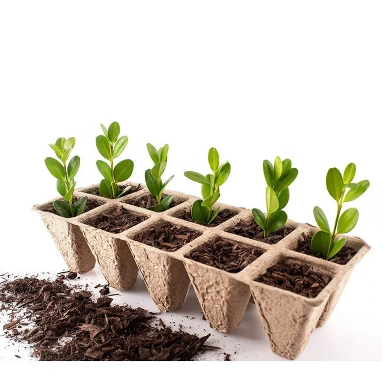 堆肥纸浆幼苗花盆播种杯种子开始纸浆模塑育苗托盘