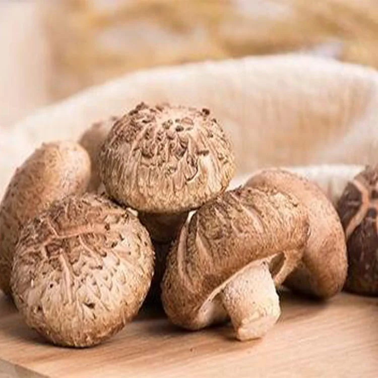 
Factory supplying wholesale fresh shiitake mushroom 