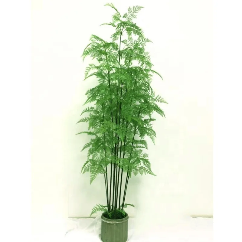 180cm 6 英尺高室内塑料人造蕨树灌木盆景植物 批发蕨类树人造盆栽 Buy 蕨类植物人造 人造蕨类植物 人造树蕨product On Alibaba Com
