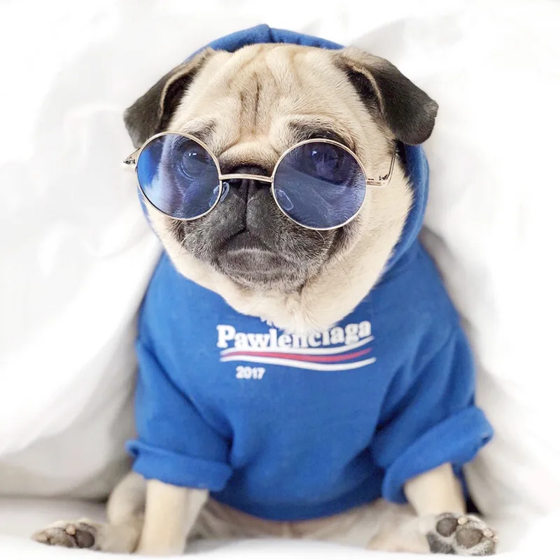 

Dog Hoodie Pet Clothing Cat Hoodie Fashion Streetwear Blue Dog Sweatshirt Sportswear Luxury Dog Apparel Pet Clothes