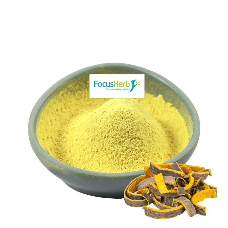 Focusherb Amur Cork Tree Bark Extract Powder 97 Berberine Hcl Buy