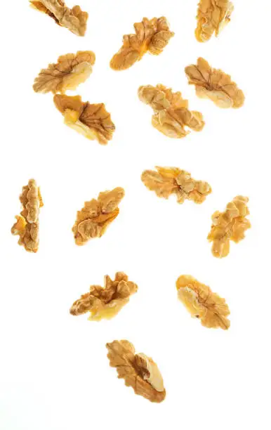 
Ukraine Nuts Kernels Light QUARTERS (1/4) WALNUT 