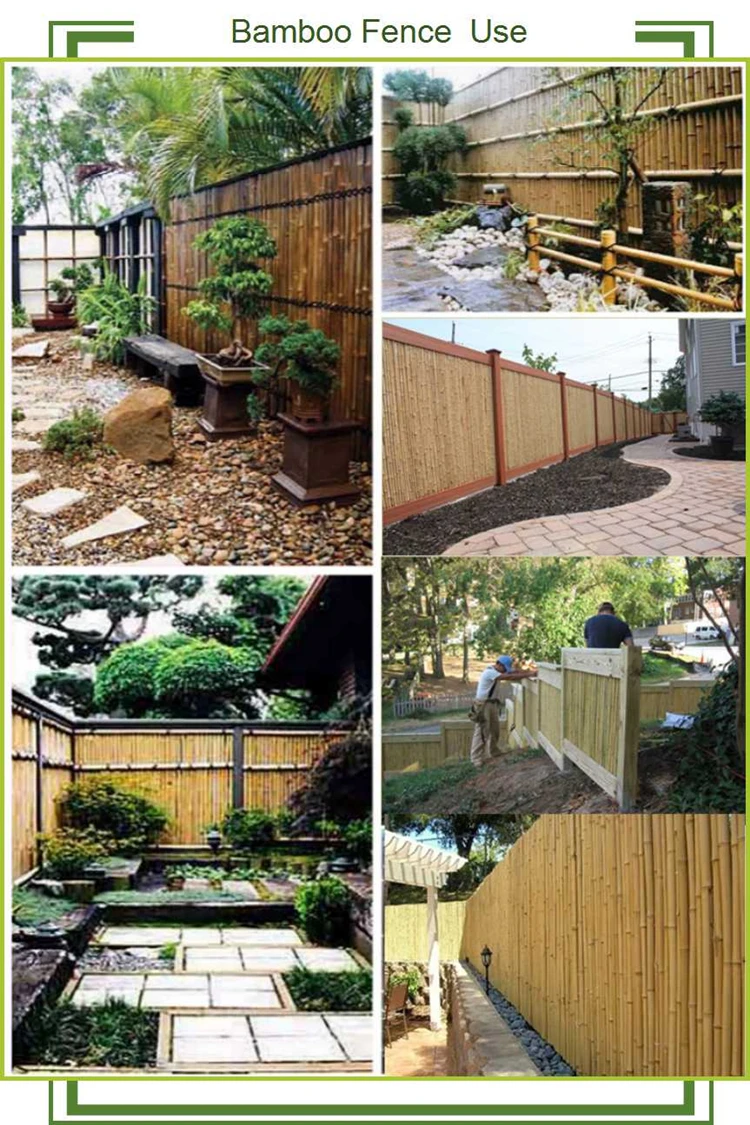 BAMBOO FENCE USE750.jpg