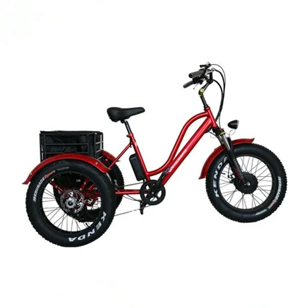 Eec 500 Watt Tricycle Three Wheel E Bike 3 Wheel Fat Tire Elektro ...