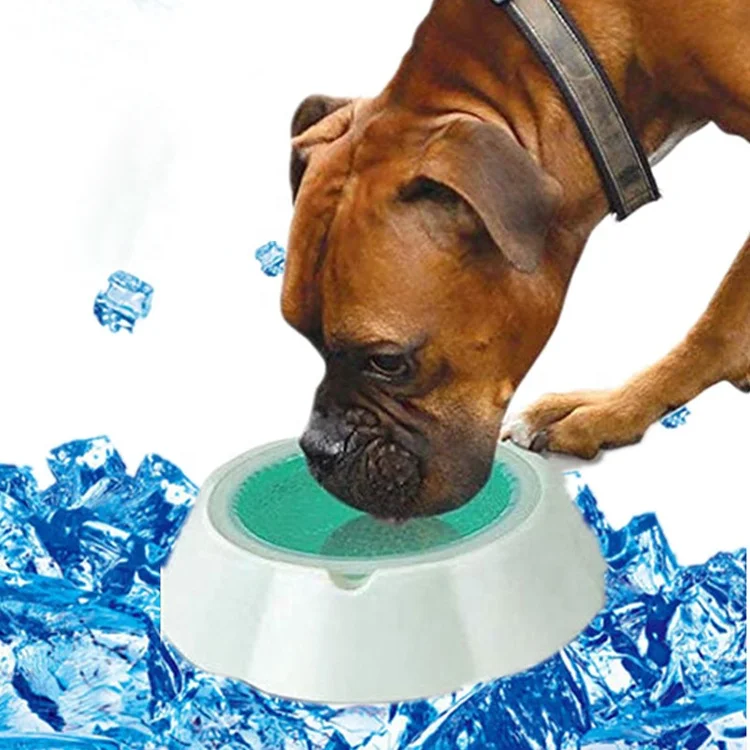 

Round 470ml Food Grade PP Chilled Pet Summer Ice Freezable Water Cooler Bowl for Pets Dog Cat