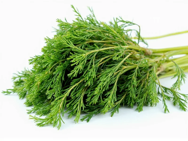 Dried Dill to Fresh: Perfect Conversion Ratio Guide