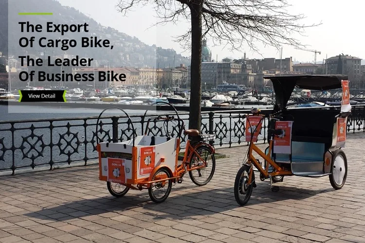 Dom discount cargo bike