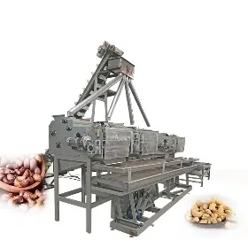 Cashew Shelling Processing Solution