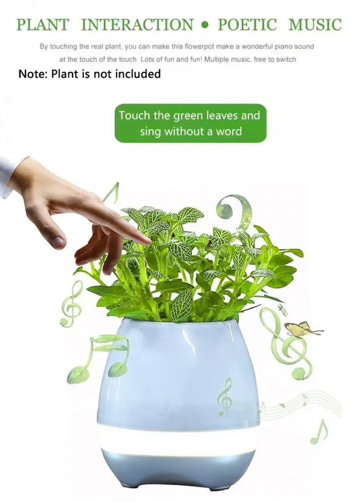 potting lighter echo Bluetooth Wireless bocina diffuser speaker - ANKUX.COM