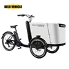 /product-detail/ce-electric-reverse-cargo-trike-bicycle-adult-three-wheel-cargo-family-drift-trike-62413713690.html