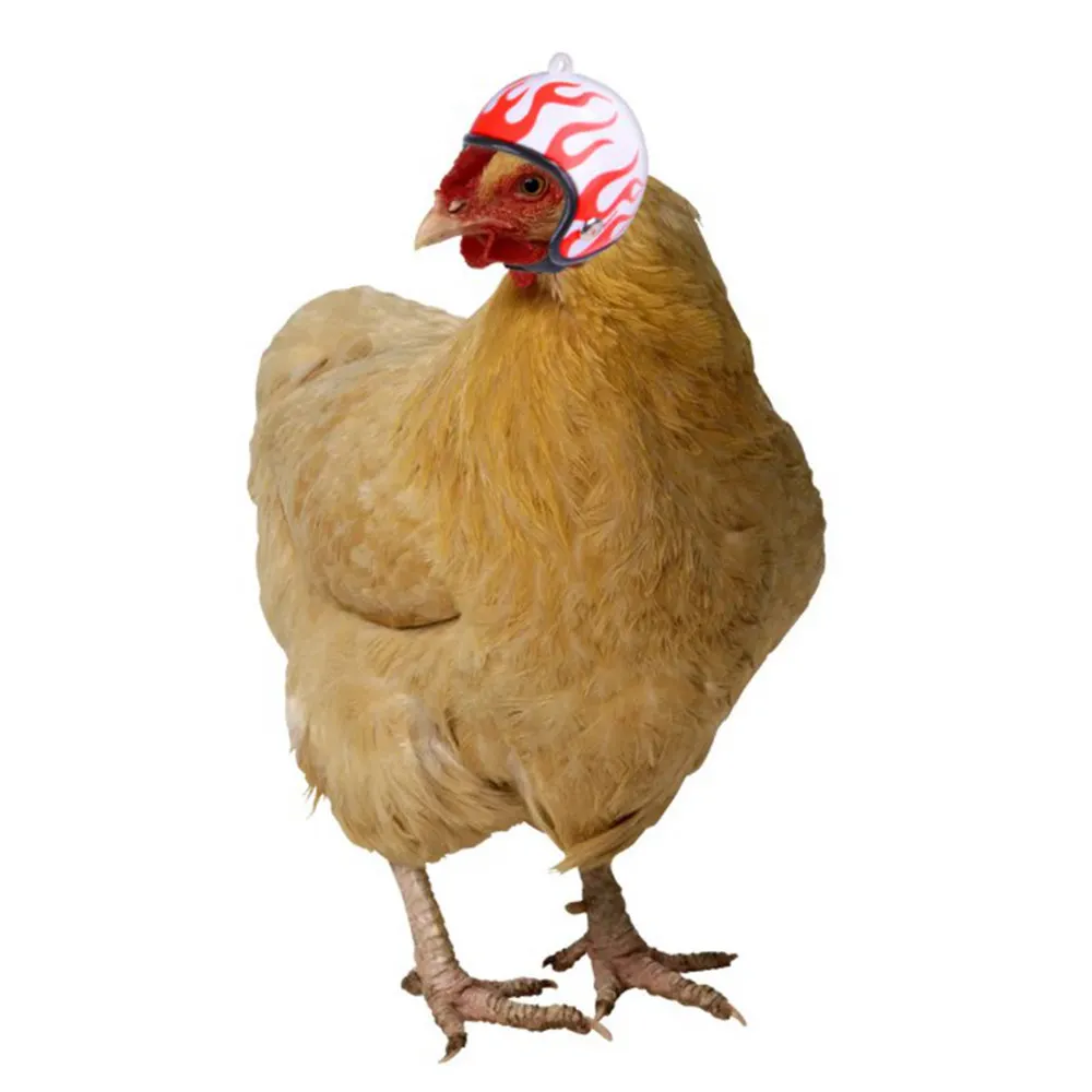 

Wholesale Halloween Funny Pet Chickens Cosplay Chicken Helmet