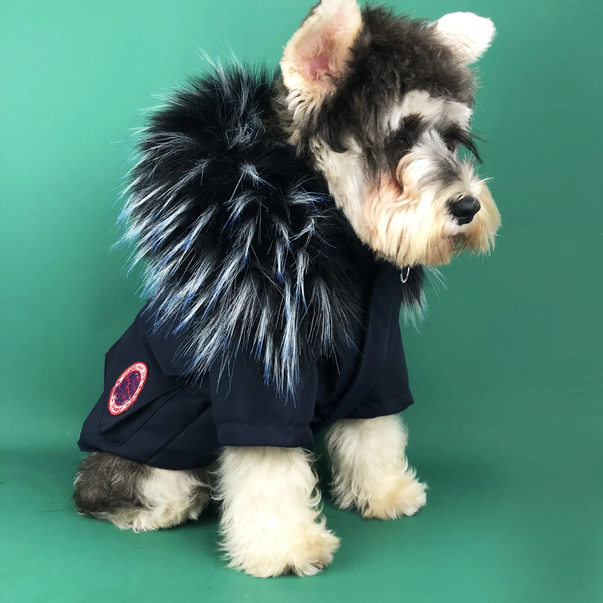 

Pet Clothes Winter Parka Dog Down Jacket Teddy Coat Schnauzer with Fluffy Thick Winter Warm Pet Coat, White,black ,purple