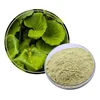 /product-detail/factory-supply-centella-asiatica-extract-asiaticosides-10-hplc-62301405655.html