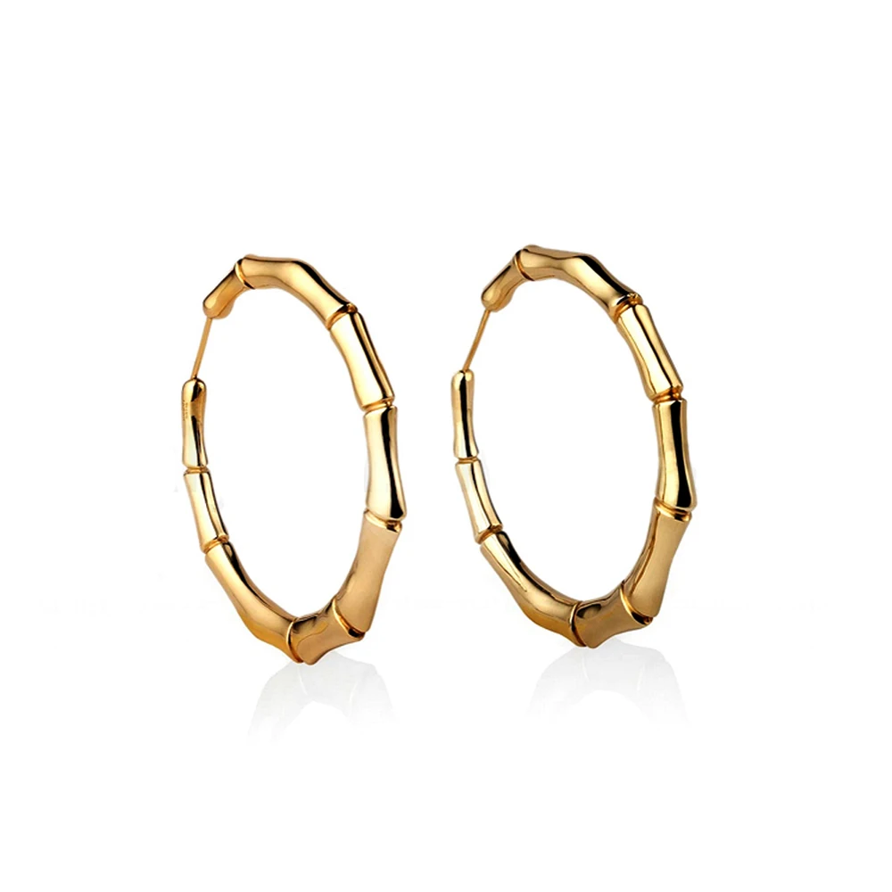 product-2020 Latest Model Cz Inlaid Silver Fashion Hoop Earrings-BEYALY-img-2