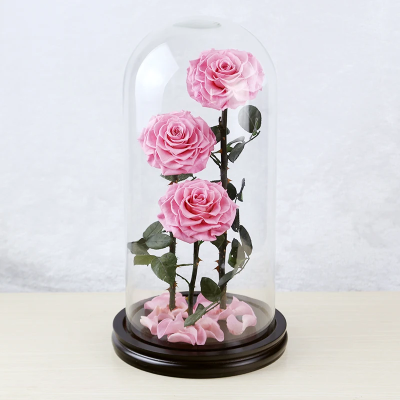 2020 Best Mother's Day Gift Natural Flower Long Stem Galaxy Preserved ...