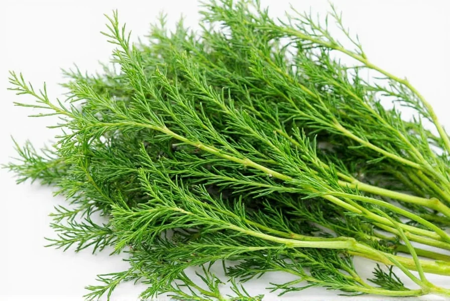 Dill Tea