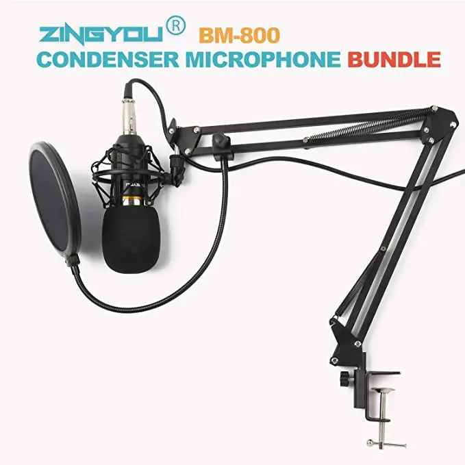 microphone (4)