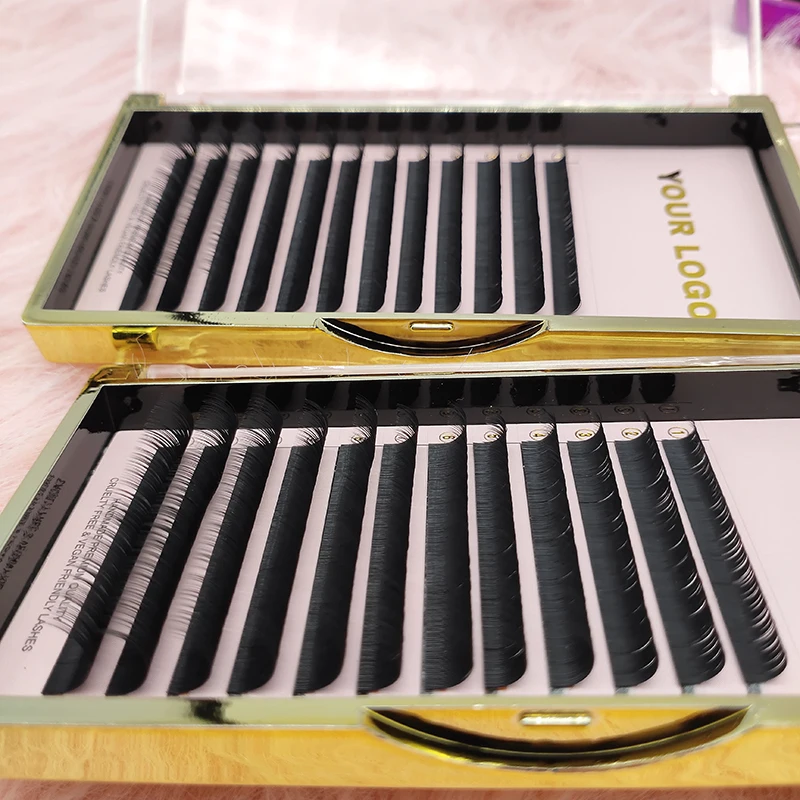 

2022 Private Label Mink Eyelashes Extension Professional Silk Lashes Tray Russian Easy Fan Volume Individual Eyelash Extension