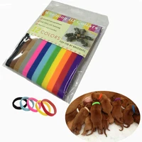 

Kawaii 12 Colors Set Puppy Kitten Whelp ID Collars Bands Identity Recognition Collar for Baby Pet Cat Dog