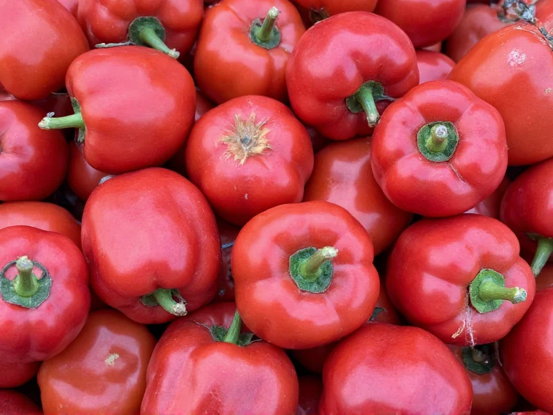 Understanding the Peppas Equation in Drug Delivery Systems