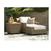 2018 Green best selling beautiful wicker metropolitan home furniture