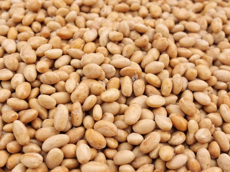 Lentil Beans Nutritional Value: Complete Health Benefits Guide